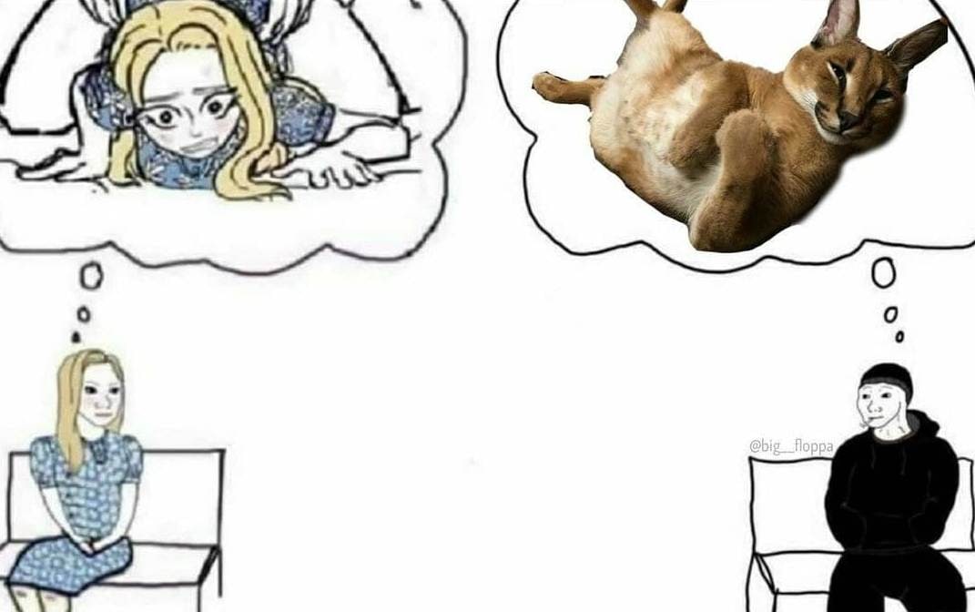 О чем думают девушки и парни Мем о том, о чем думают девушки и парни, где девушка думает о романтических отношениях, а парень о каракале по имени Флоппа.