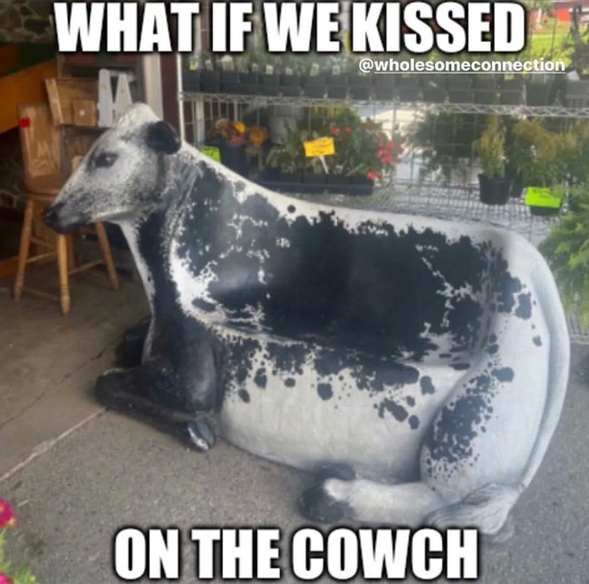 What if we kissed on the cowch Диван в форме коровы с надписью What if we kissed on the cowch