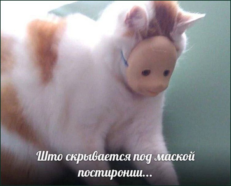 Пушистое животное в маске пони с подписью «Что скрывается под маской постиронии…»