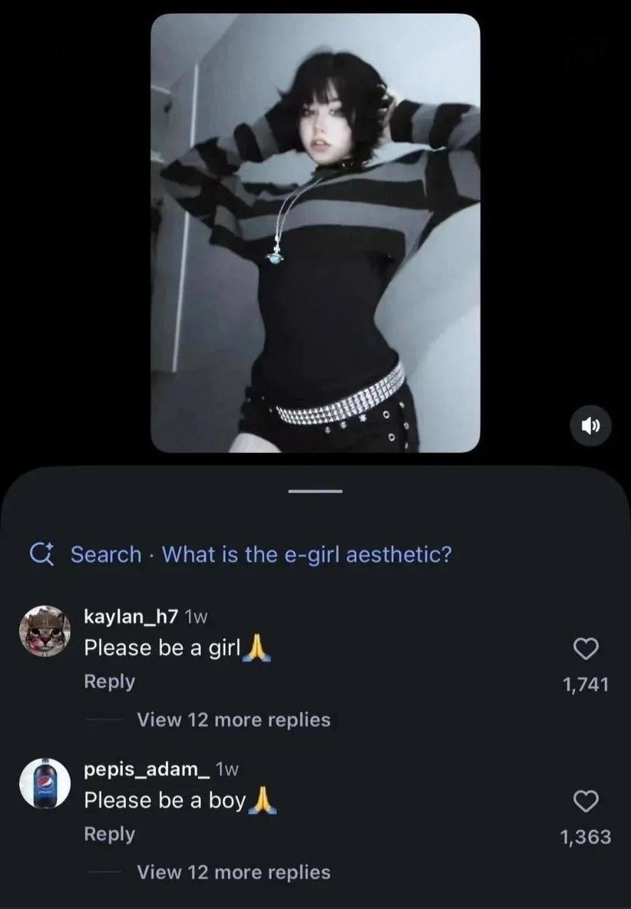 Девушка в альтернативном стиле e-girl и комментарии «Please be a girl» и «Please be a boy»