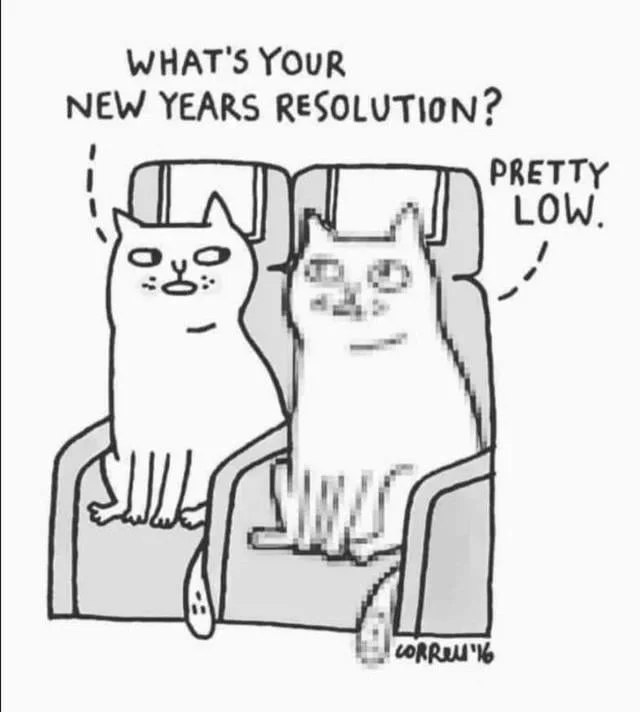 Два кота сидят на диване, и один спрашивает другого о новогодних обещаниях, на что второй отвечает, что они «довольно низкие», а под ним лужа