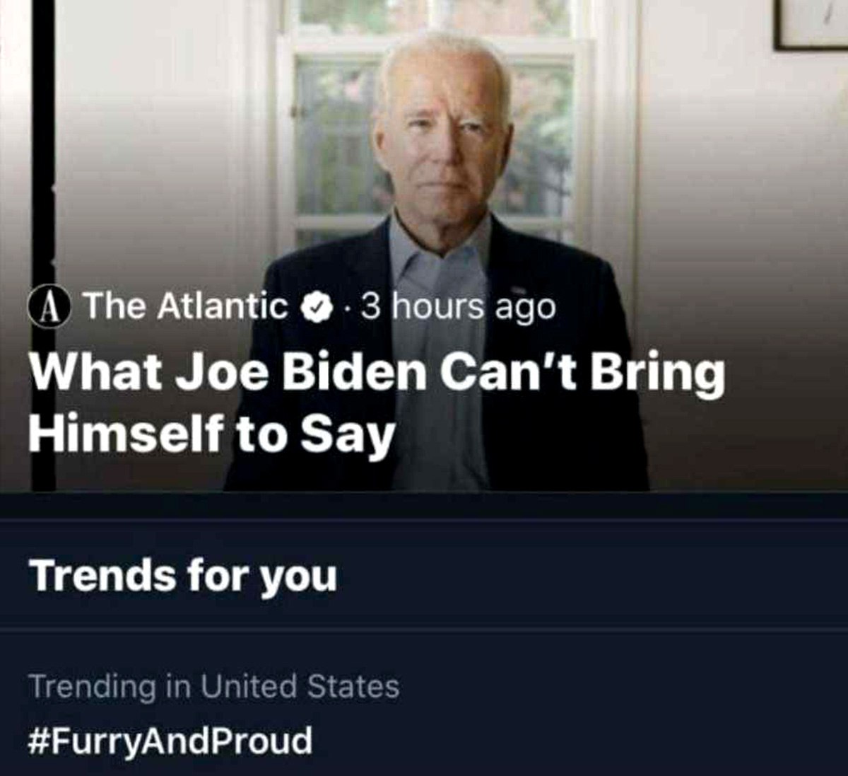 What Joe Biden Can't Bring Himself to Say Мем, где статья о том, что Джо Байден не может произнести, совпадает с трендом #FurryAndProud