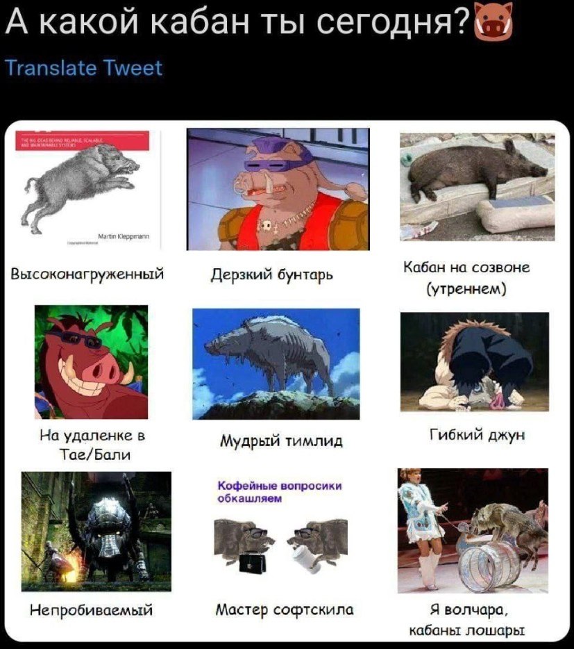Коллаж с различными типами кабанов и их характеристиками: высоконагруженный, дерзкий бунтарь, кабан на созвоне, на удаленке, мудрый тимлид, гибкий джун, непробиваемый, мастер софтскилла, я волчара кабаны лошары.