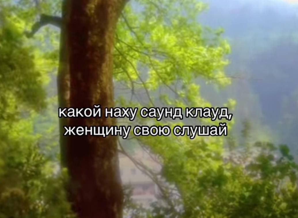 Какой нахуй саунд клауд, женщину свою слушай Мем с надписью "Какой нахуй саунд клауд, женщину свою слушай" на фоне леса с большим деревом и туманом.