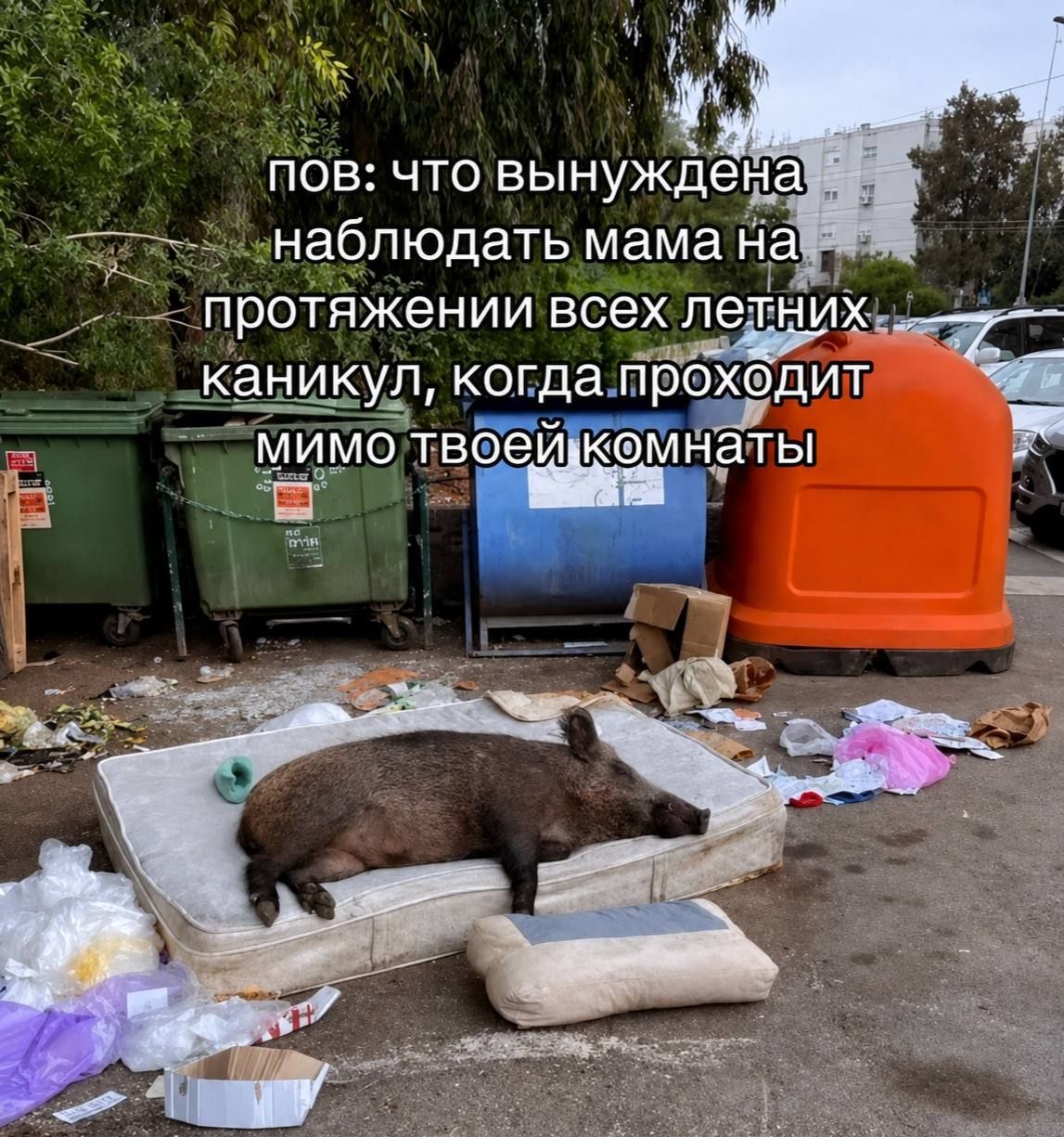 Дикий кабан лежит на матрасе у мусорных контейнеров, а сверху шутка про то, что мама это видит всё лето, проходя мимо комнаты.