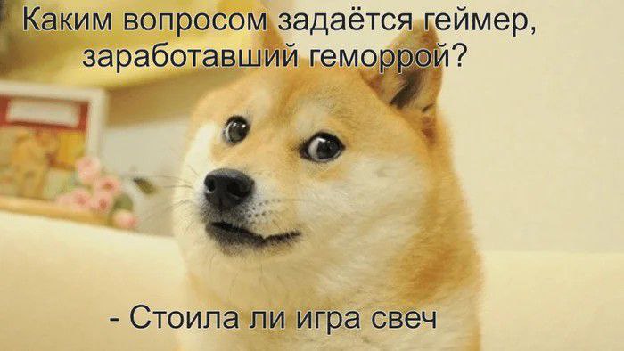 Каким вопросом задается геймер, заработавший геморрой Каким вопросом задается геймер, заработавший геморрой? Стоила ли игра свеч
