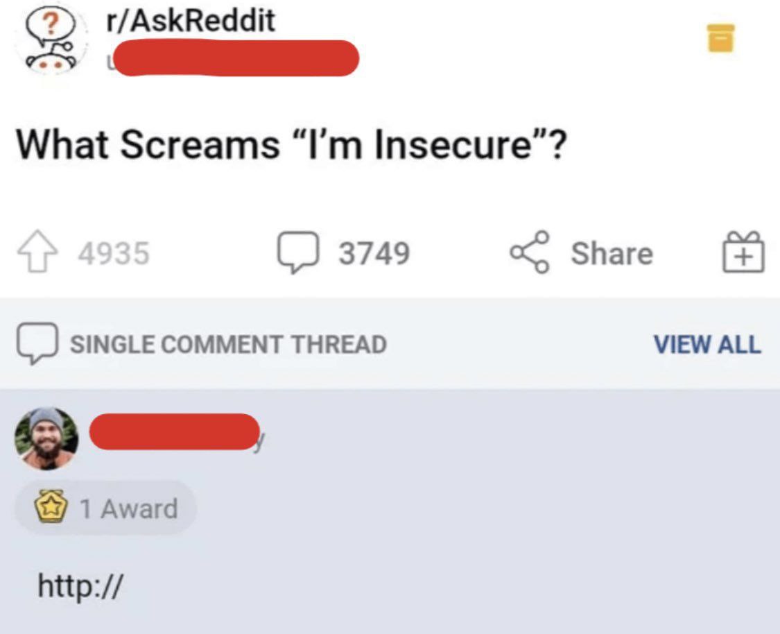 What Screams "I'm Insecure"? Скриншот ветки Reddit с вопросом "What Screams "I'm Insecure"?" и саркастическим ответом "http://".