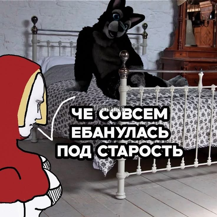 Мультяшная девушка смотрит на черного пушистого персонажа на кровати с подписью «Че совсем ебанулась под старость»