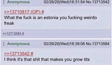 Что за хрень такая Эстония Переписка на форуме 4chan, где один пользователь спрашивает: «Что за хрен такой — Эстония?», а другой отвечает, что это «хрень, от которой растут сиськи».