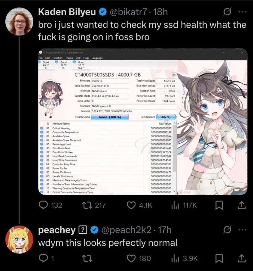 What the fuck is going on in foss bro CrystalDiskInfo с аниме-девочками