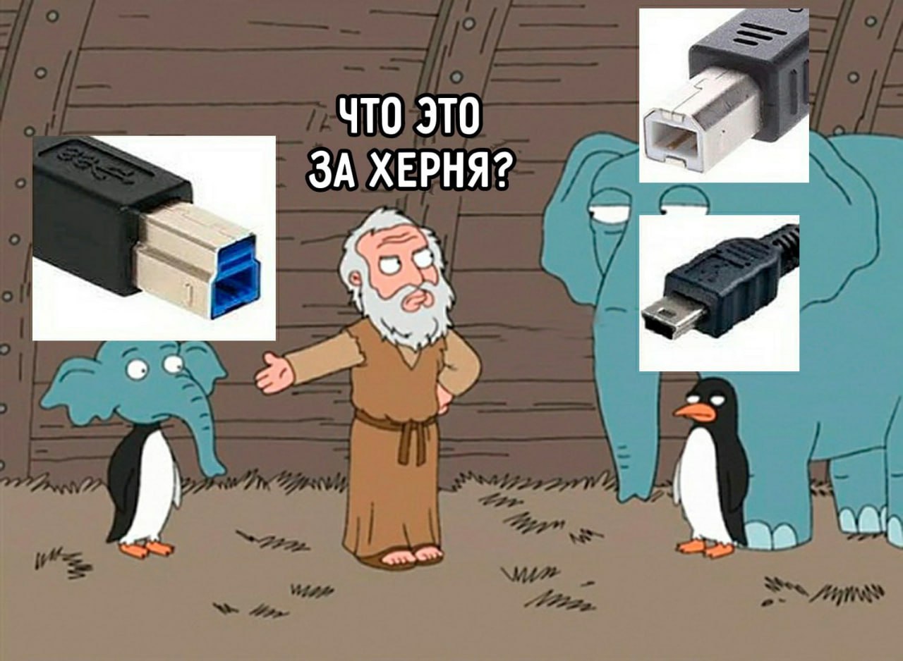 Что это за херня Мем с Ноем, который показывает на странные USB-разъемы и спрашивает «что это за херня?»