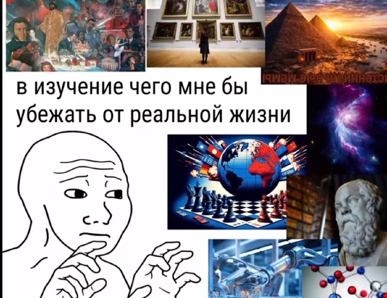 Задумчивый Wojak решает, в изучение какой темы погрузиться, чтобы сбежать от реальной жизни: искусство, история, космос, геополитика или наука.