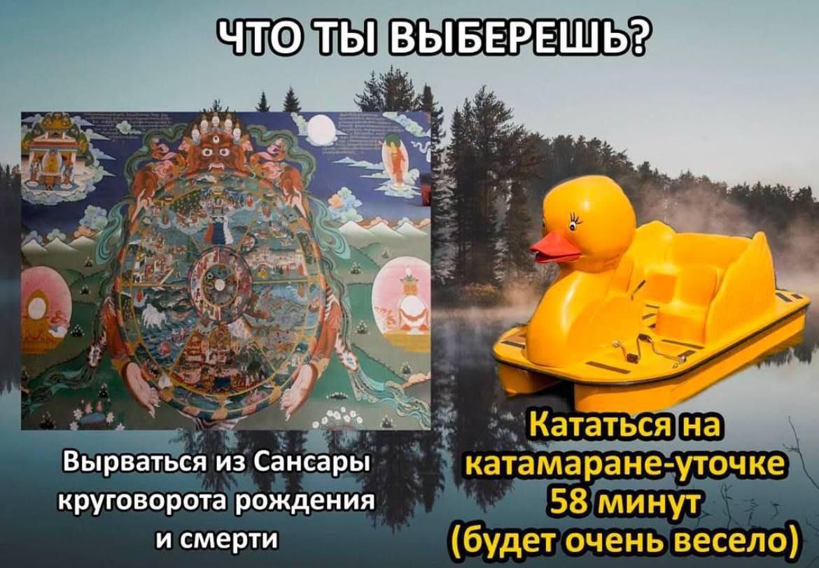 Мем про выбор между колесом Сансары и катанием на катамаране-уточке 58 минут