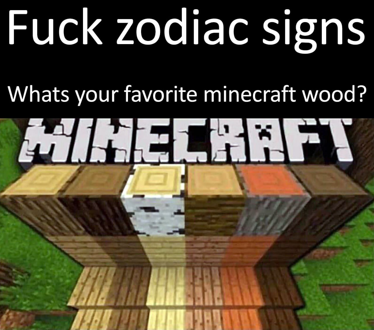 Whats your favorite minecraft wood? Мем с надписью "Whats your favorite minecraft wood?" и разными видами дерева из игры Minecraft