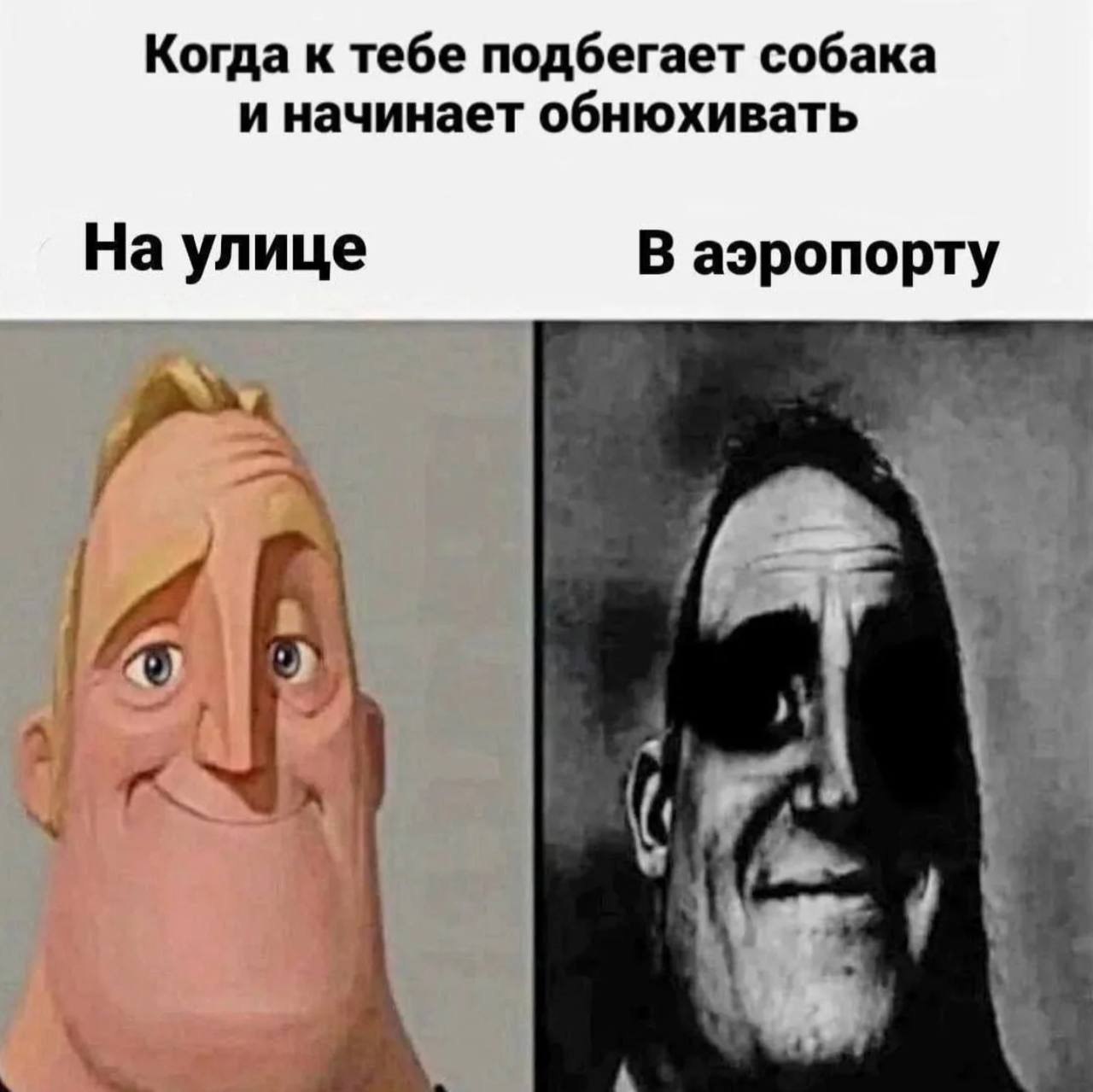 Когда к тебе подбегает собака и начинает обнюхивать в аэропорту Мем с Мистером Исключительным, когда к нему подбегает собака на улице и в аэропорту