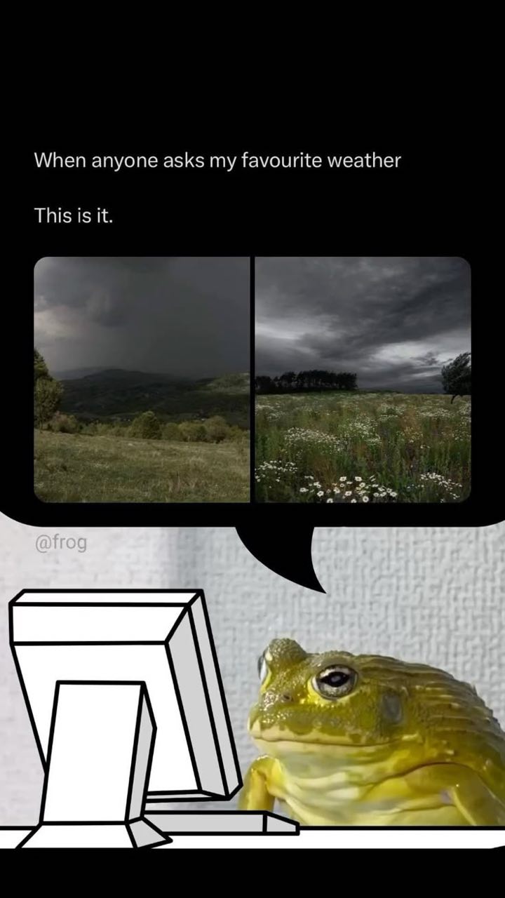 When anyone asks my favourite weather Жаба за компьютером и ее любимая пасмурная погода