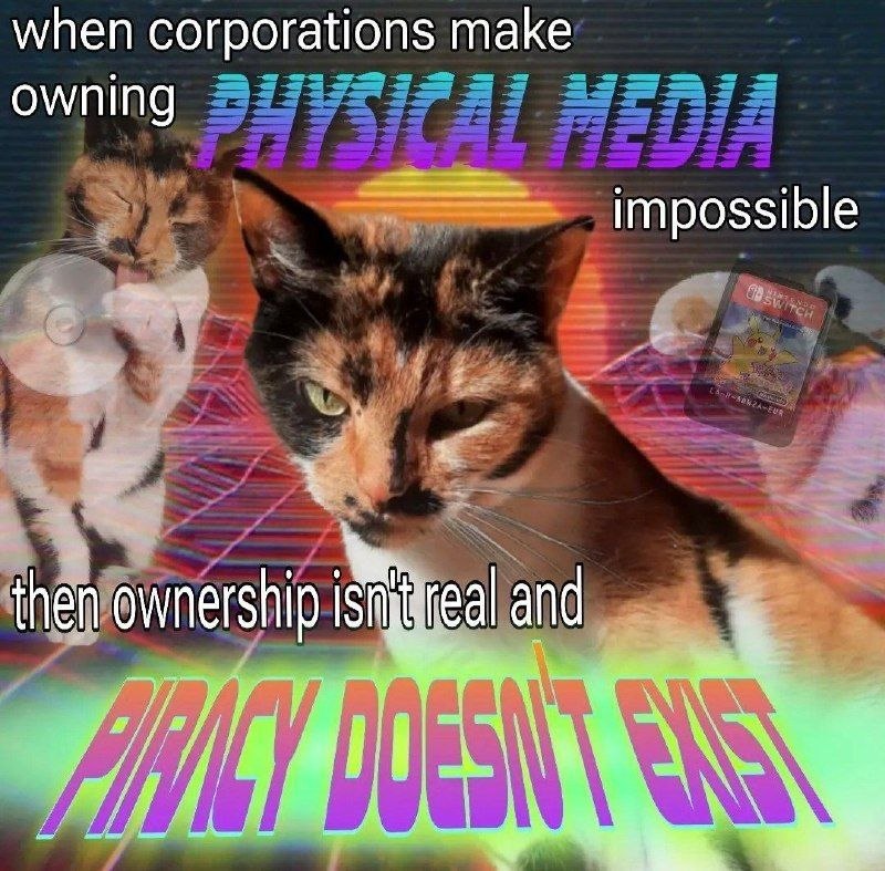 Недовольная кошка на фоне vaporwave с надписью о цифровой собственности, корпорациях и пиратстве.