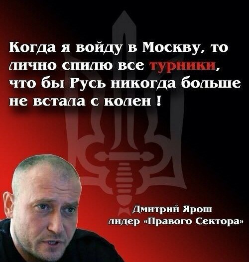 Пародийная цитата Дмитрия Яроша о том, что после входа в Москву он лично спилит все турники, чтобы Русь больше никогда не встала с колен.