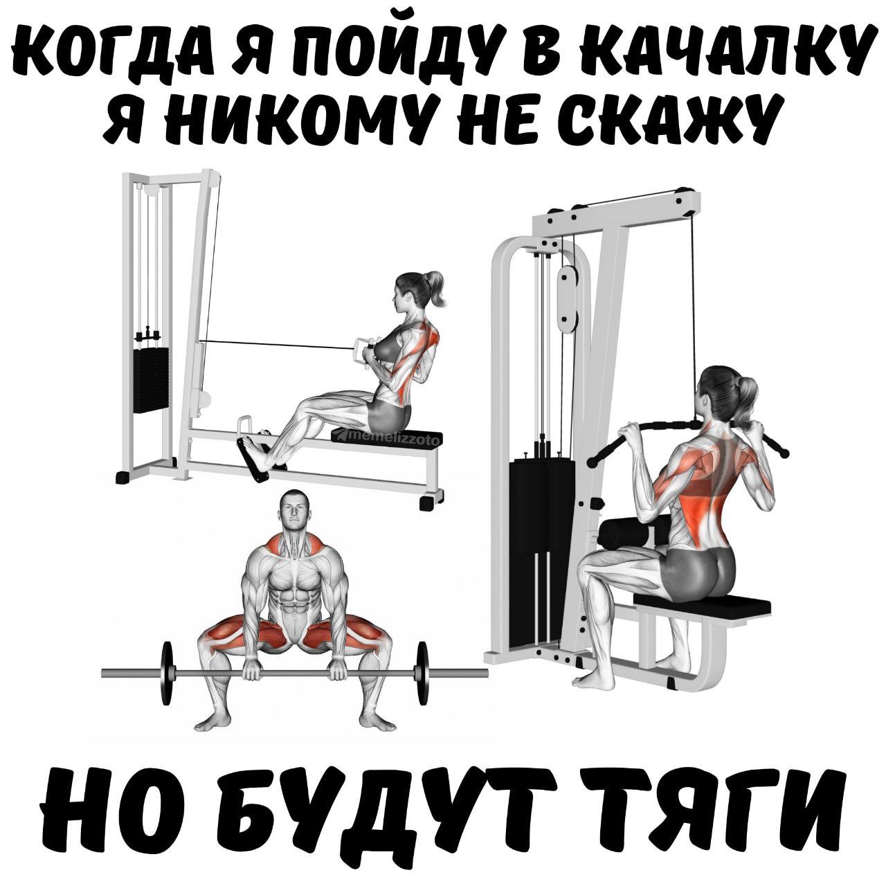 Когда я пойду в качалку я никому не скажу но будут тяги Мем про то, как человек начинает ходить в качалку и делает много тяг, но никому не рассказывает об этом.