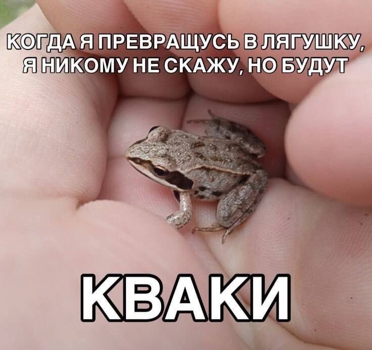 Когда я превращусь в лягушку, но будут кваки Маленькая лягушка на ладони с надписью "Когда я превращусь в лягушку, я никому не скажу, но будут кваки"