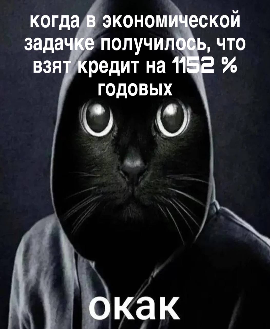 Когда в экономической задачке получилось, что взять кредит на 1152 % годовых Мем с котом в капюшоне и надписью «Когда в экономической задачке получилось, что взять кредит на 1152 % годовых. Окак»