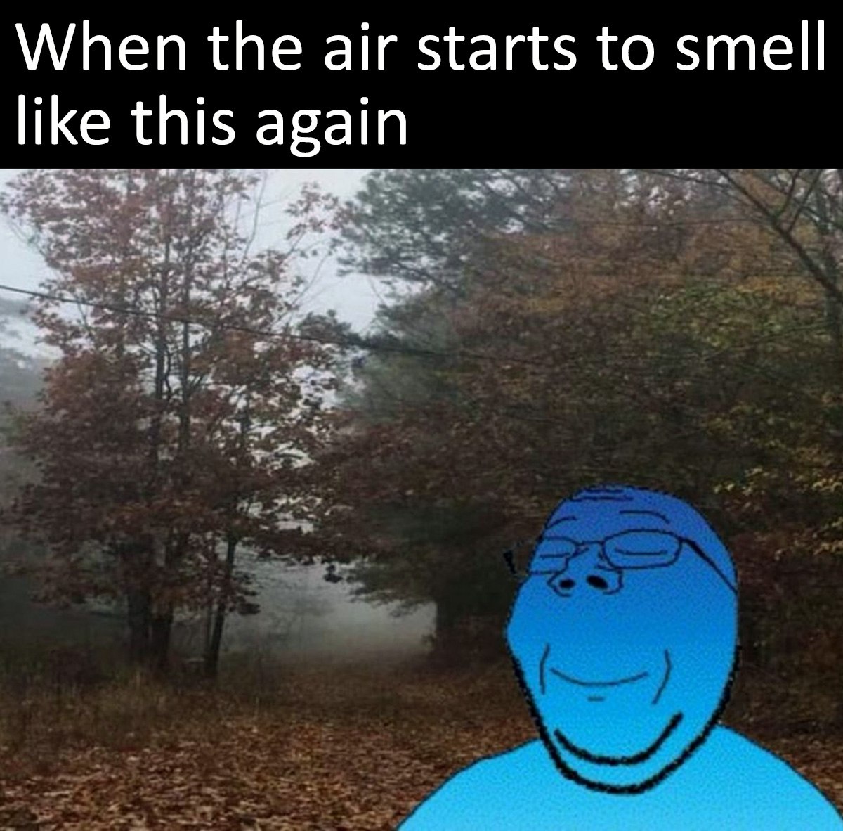 When the air starts to smell like this again Голубой вожак на фоне осеннего леса в тумане с надписью «When the air starts to smell like this again»