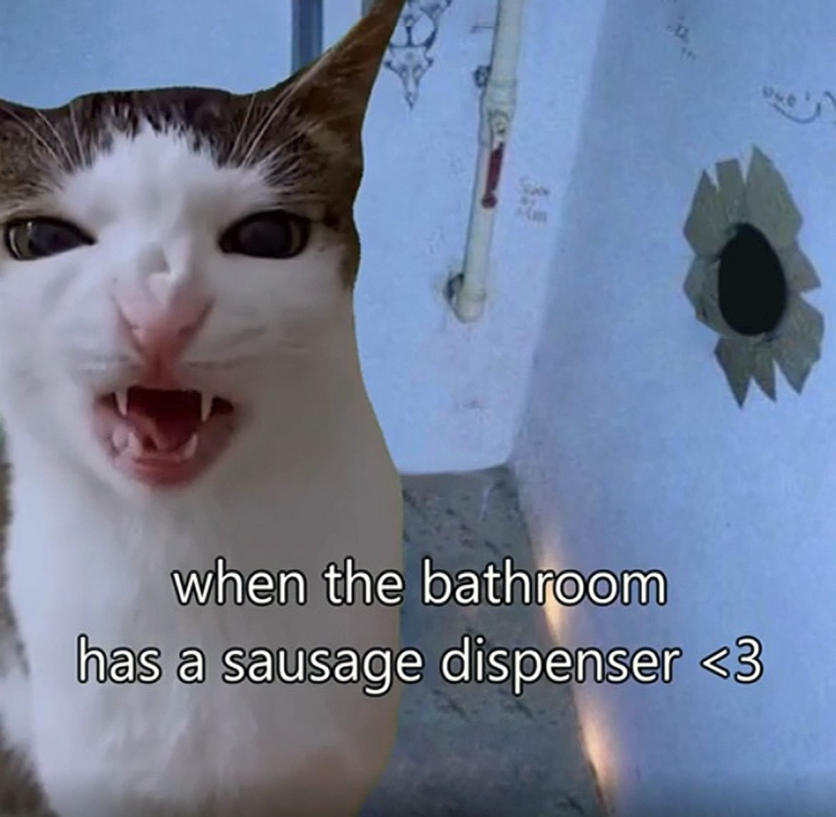 When the bathroom has a sausage dispenser Злой кот шипит на дозатор сосисок в ванной