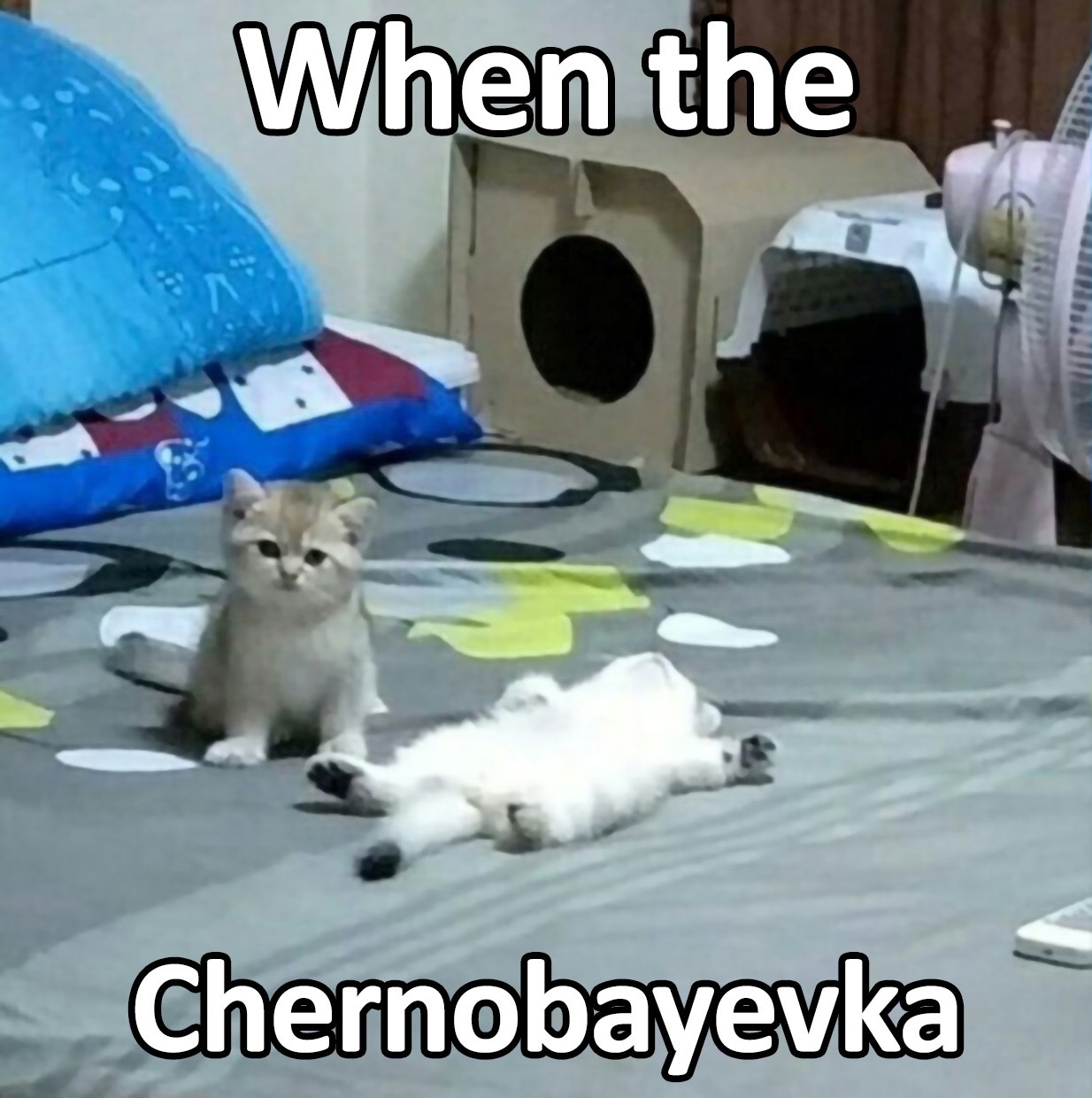 Когда Чернобаевка Мем с двумя котятами и надписью «When the Chernobayevka»