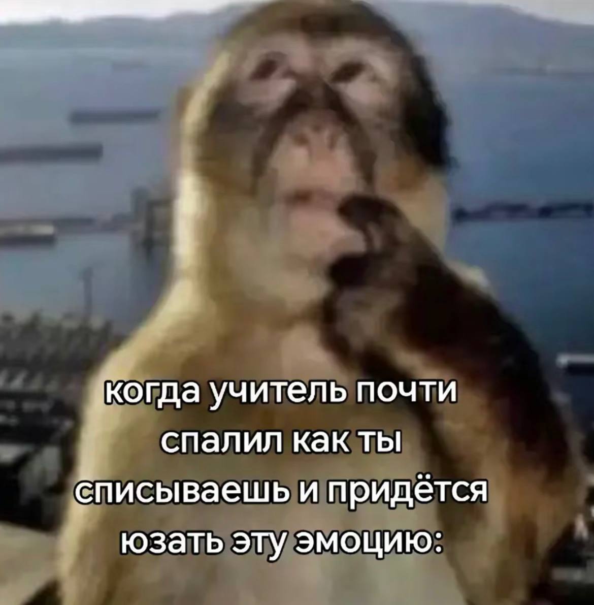 Когда учитель почти спалил как ты списываешь Мем с обезьяной, которая делает вид, что усердно учится, когда учитель почти поймал её за списыванием.
