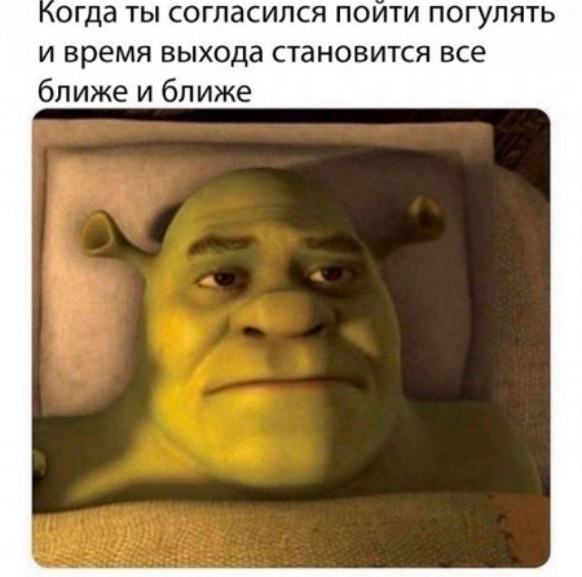 Когда ты согласился пойти погулять Шрек в кровати и время выхода становится все ближе