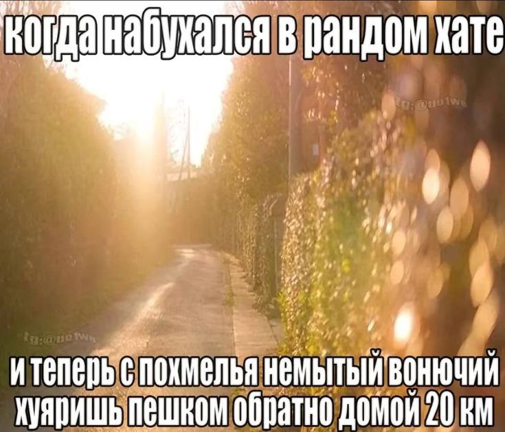 Когда набухался в рандом хате Когда напился в случайном доме и теперь идешь пешком 20 км с похмелья