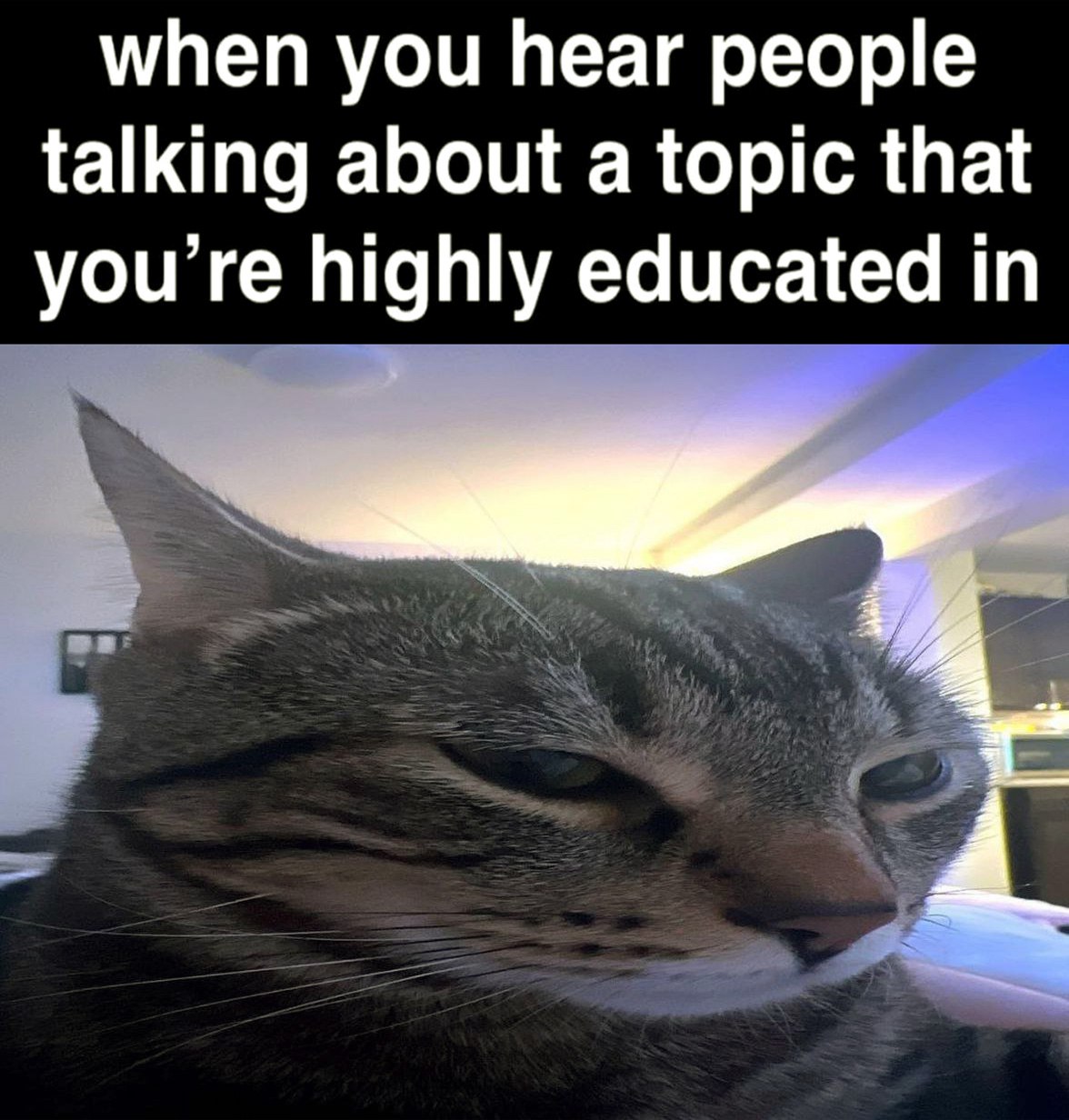 When you hear people talking about a topic that you're highly educated in Мем с котом, который смотрит на говорящих людей с выражением лица «когда слышишь, как люди говорят на тему, в которой ты хорошо разбираешься»