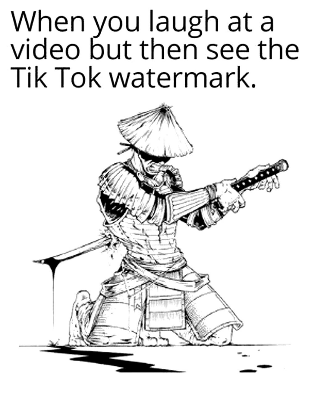 Когда смеешься над видео, но потом видишь водяной знак Tik Tok Когда смеешься над видео, но потом видишь водяной знак TikTok