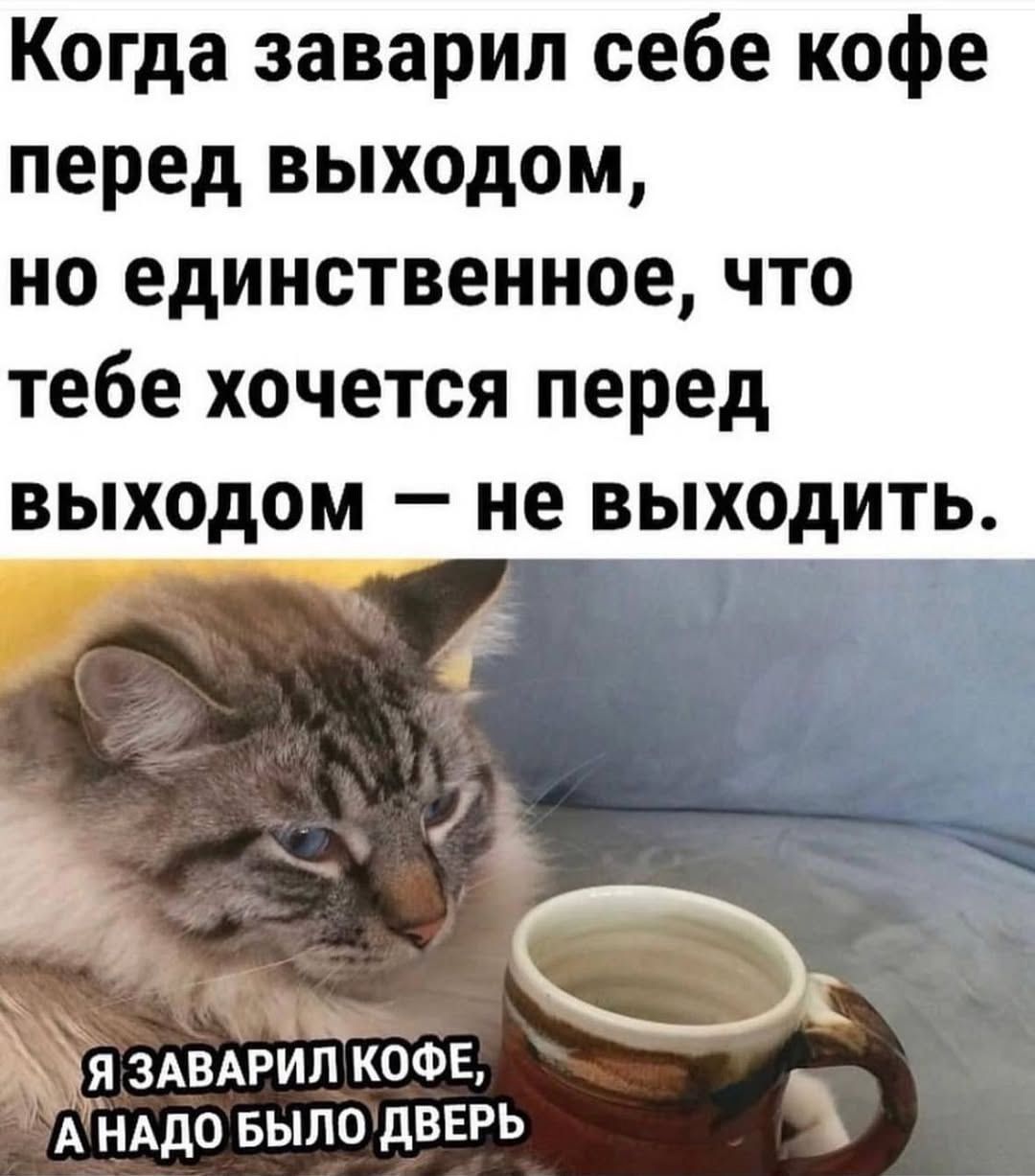 Когда заварил себе кофе, но не хочешь выходить Мем с котом, который заварил кофе, но единственное, что ему хочется перед выходом — не выходить