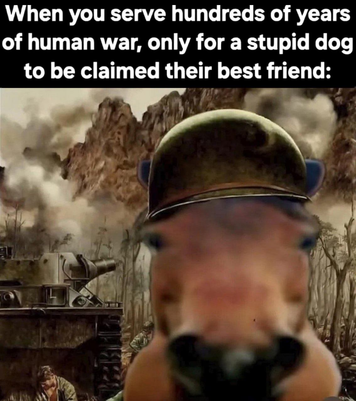 When you serve hundreds of years of human war Капибара в военной каске на фоне боевых действий и танка