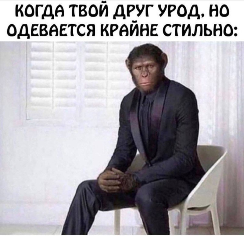 Когда твой друг урод, но одевается крайне стильно Шимпанзе в костюме, сидящий на стуле с надписью «Когда твой друг урод, но одевается крайне стильно»