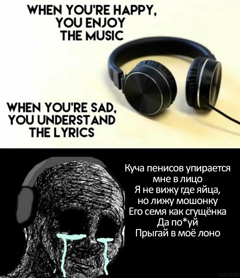 When you're sad, you understand the lyrics и семя как сгущенка Мем с фразой "When you're sad, you understand the lyrics" и плачущим войжаком, который слушает про семя как сгущенку