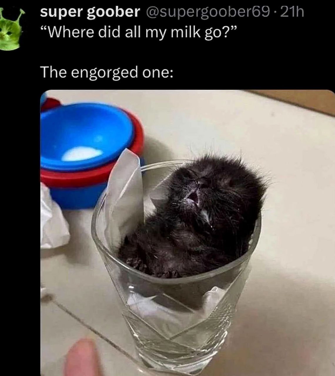 Where did all my milk go Объевшийся котенок в стакане, рядом с пустой миской молока