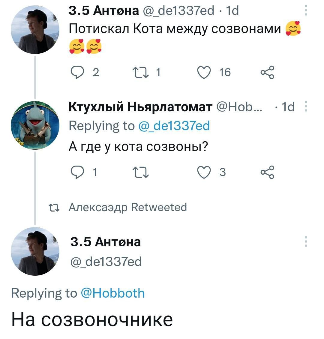 Где у кота созвоны Переписка в Твиттере о том, где у кота созвоны: на созвоночнике