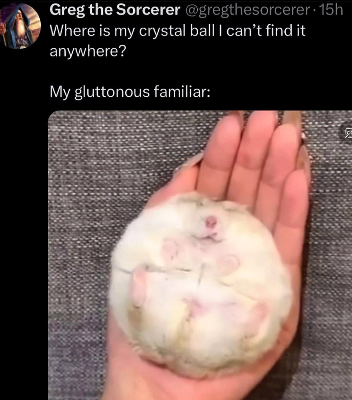 Where is my crystal ball? Хомяк Хомяк, похожий на хрустальный шар, лежит на ладони, свернувшись калачиком, после того как волшебник Грег спрашивает, где его хрустальный шар.