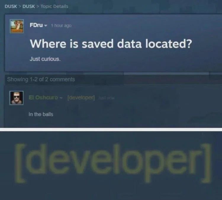 Where is saved data located? In the balls Мем про вопрос на форуме Steam "Где находятся сохраненные данные?" и ответ разработчика "В яйцах"