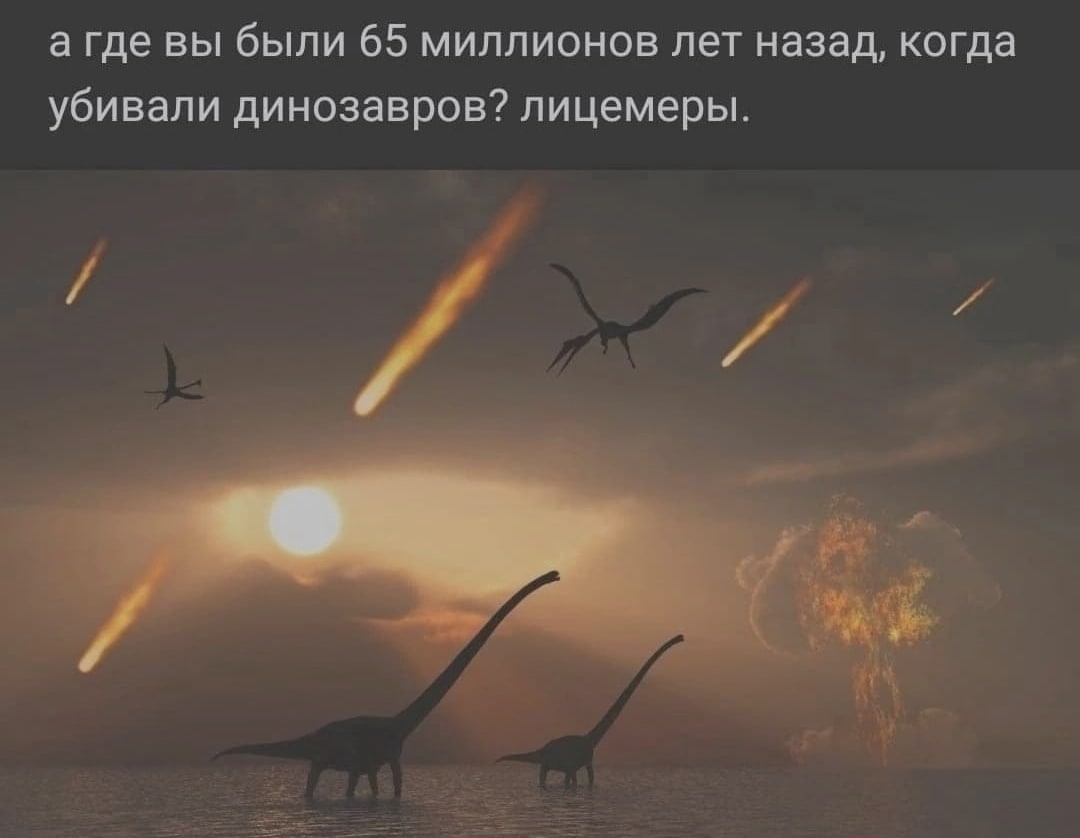 А где вы были 65 миллионов лет назад, когда убивали динозавров Мем с текстом «А где вы были 65 миллионов лет назад, когда убивали динозавров? Лицемеры.» на фоне падения метеоритов и динозавров.