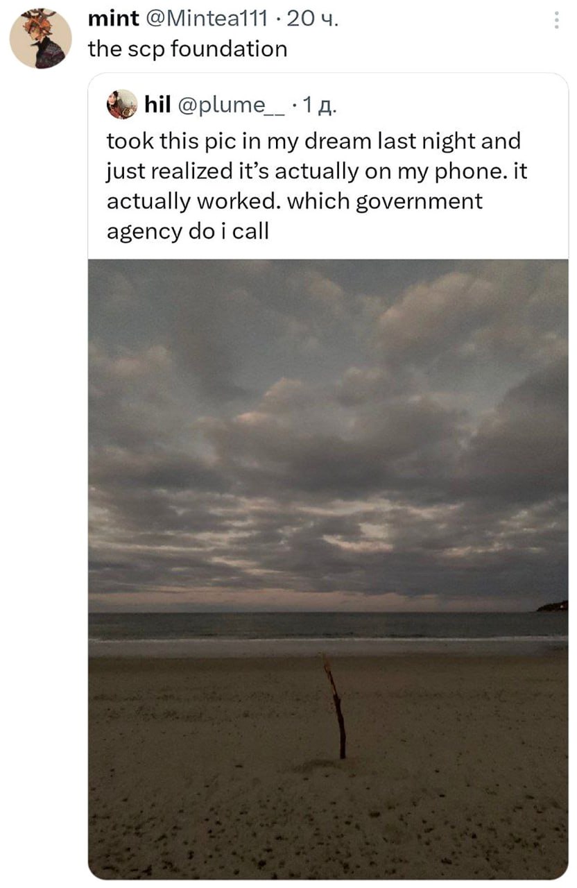 Which government agency do i call Мем с твитом о фотографии, сделанной во сне, которая оказалась на телефоне, и вопросом «Which government agency do i call?»