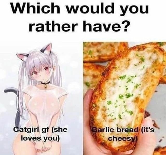 Which would you rather have? Мем с выбором между девушкой-кошкой и чесночным хлебом