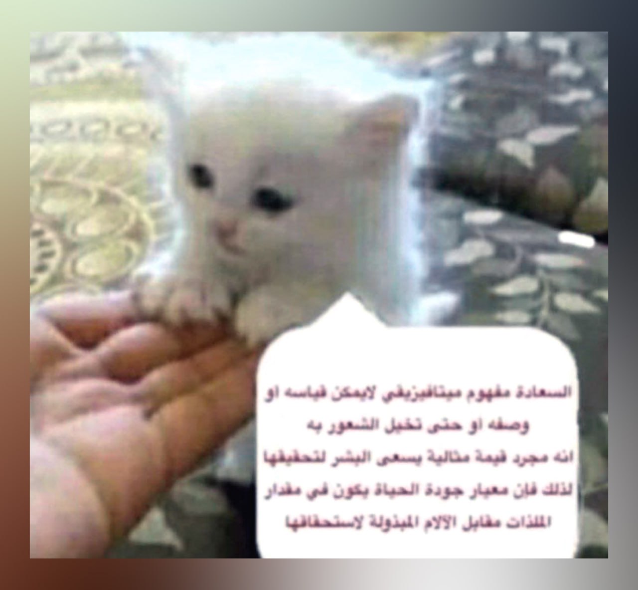 Белый котенок на ладошке с арабским текстом Маленький белый котенок сидит на человеческой руке, а рядом с ним находится белое облачко текста на арабском языке.