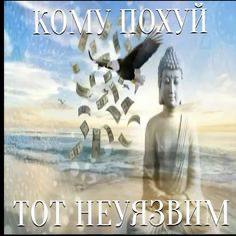Кому похуй, тот неуязвим Будда, орел и падающие деньги с надписью «Кому похуй, тот неуязвим»