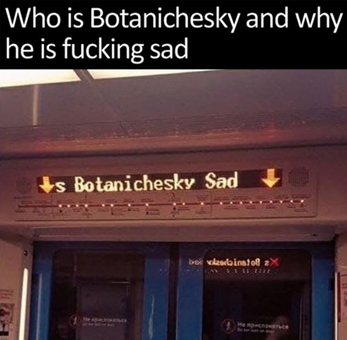 Who is Botanichesky and why he is fucking sad Надпись на английском языке: Who is Botanichesky and why he is fucking sad, и табло в метро с надписью Botanichesky Sad