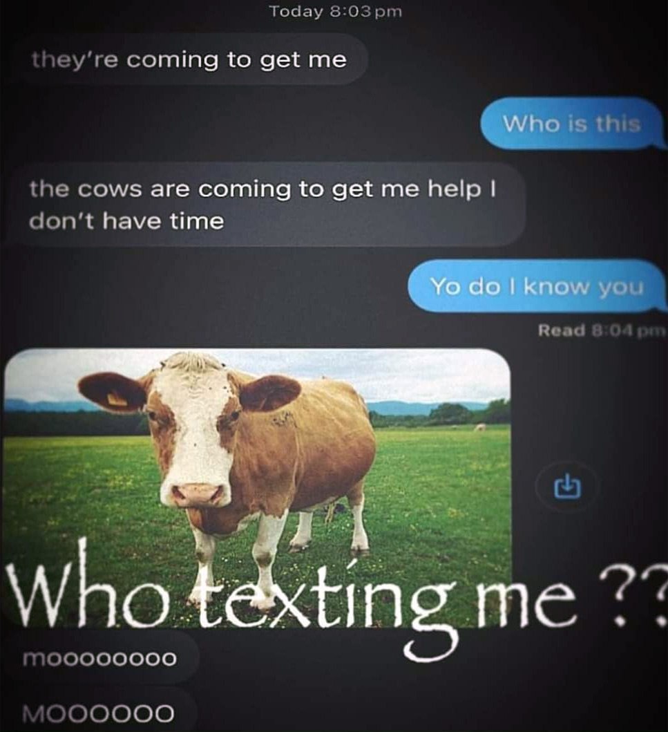 Who texting me? Who texting me? мем с перепиской и коровой