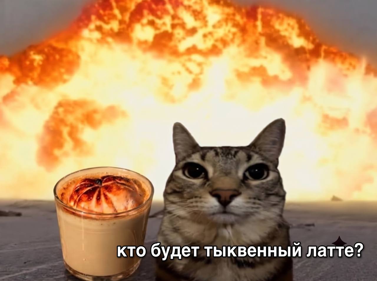 Сердитый кот и стакан тыквенного латте на фоне ядерного взрыва с подписью «Кто будет тыквенный латте?»