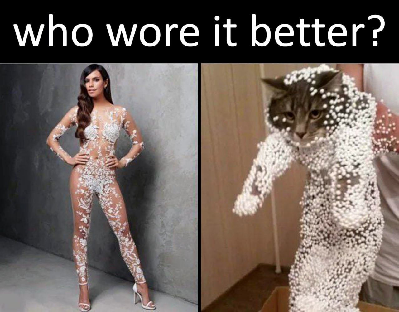 Who wore it better Женщина в прозрачном костюме и кот в пенопластовых шариках, мем "who wore it better"